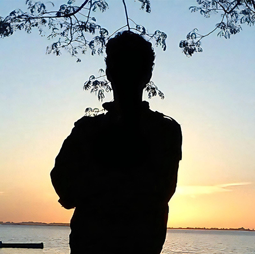 N. Fernandes